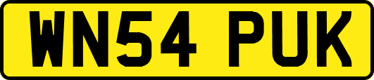 WN54PUK