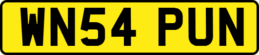 WN54PUN