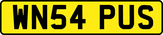 WN54PUS