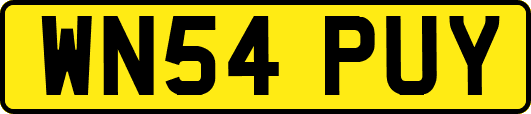 WN54PUY