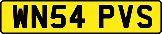 WN54PVS