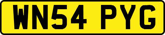WN54PYG