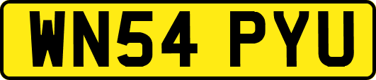 WN54PYU