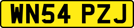 WN54PZJ