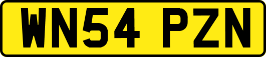 WN54PZN