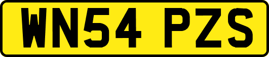 WN54PZS