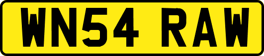WN54RAW