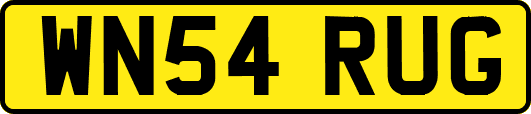 WN54RUG