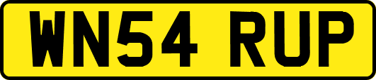 WN54RUP
