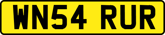 WN54RUR