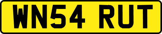 WN54RUT