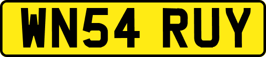 WN54RUY