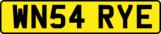 WN54RYE