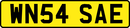 WN54SAE