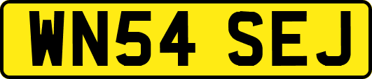 WN54SEJ