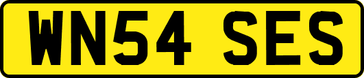WN54SES