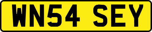WN54SEY