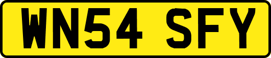 WN54SFY