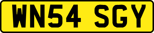 WN54SGY