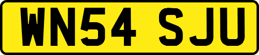 WN54SJU