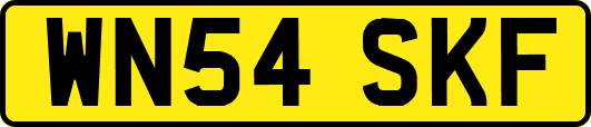 WN54SKF