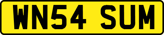 WN54SUM