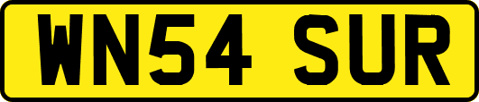 WN54SUR