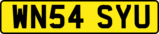 WN54SYU