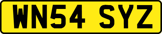 WN54SYZ
