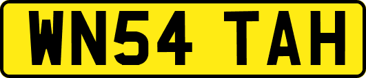 WN54TAH