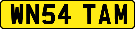 WN54TAM