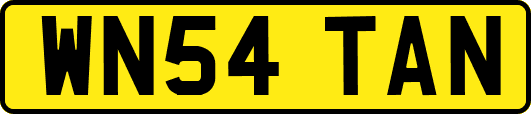 WN54TAN