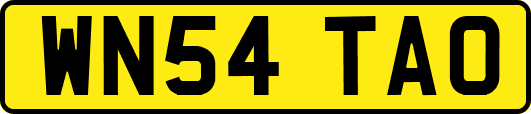 WN54TAO