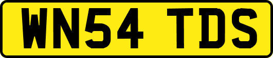 WN54TDS