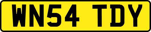 WN54TDY