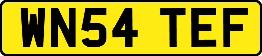 WN54TEF