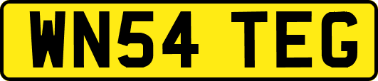 WN54TEG