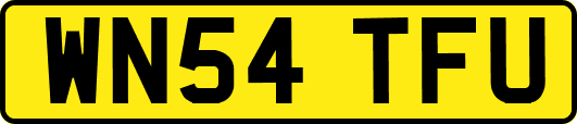 WN54TFU