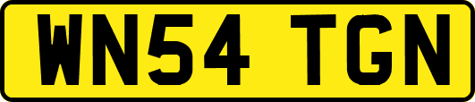 WN54TGN