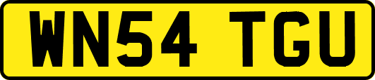 WN54TGU