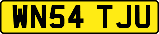 WN54TJU