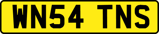 WN54TNS