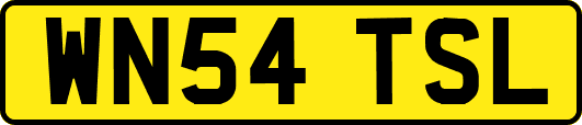 WN54TSL