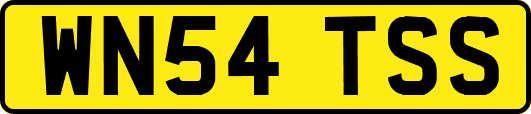 WN54TSS