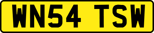 WN54TSW