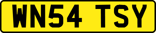 WN54TSY