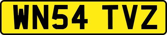 WN54TVZ