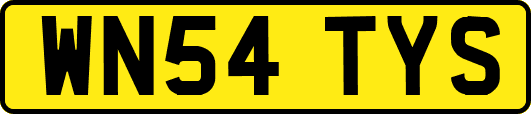WN54TYS