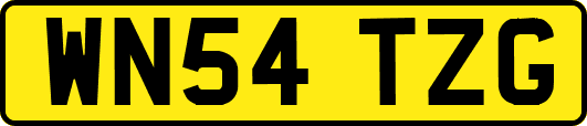 WN54TZG