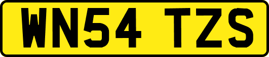 WN54TZS